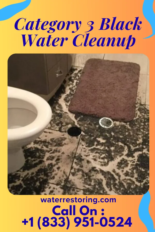 Category 3 Black Water Cleanup in Penney Farms, FL